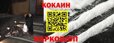 шишки Кимры