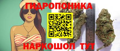 меф Кингисепп