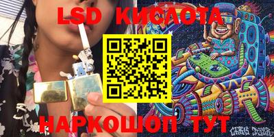 шишки Кимры