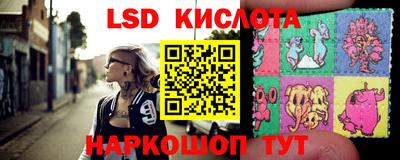 шишки Кимры