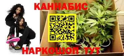 шишки Кимры