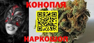шишки Кимры