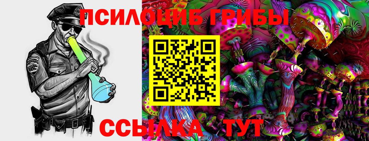 цены наркотик  Галлюциногенные грибы Psilocybe  Вход с VPN  Новый Уренгой 